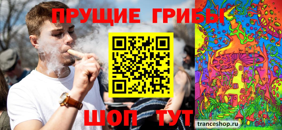 Псилоцибиновые грибы GOLDEN TEACHER Похвистнево