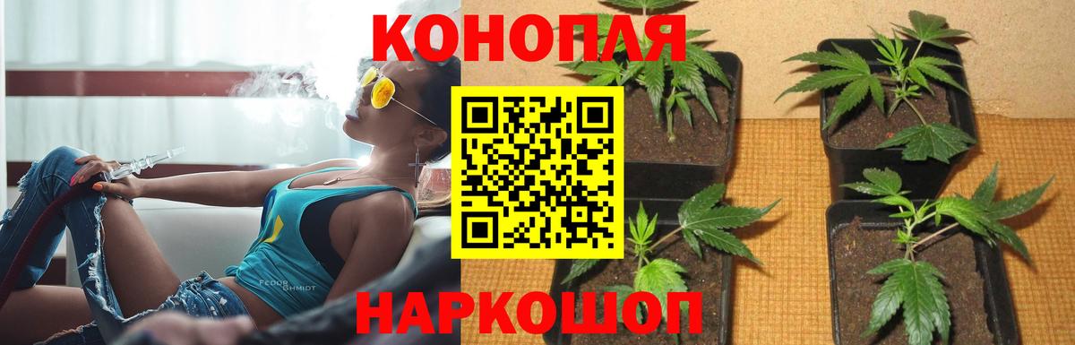 Шишки марихуана индика  Конопля марихуана  Похвистнево  Каннабис Ganja  Вход с VPN  Конопля AK-47 